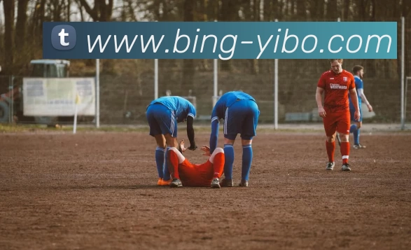 亿博体育APP 高清赛事图